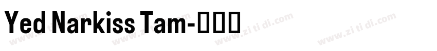 Yed Narkiss Tam字体转换